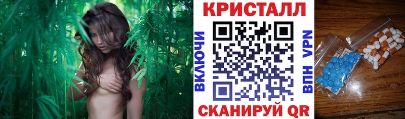 закладки  Кореновск  АМФ VHQ 