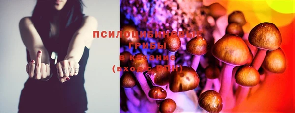 apvp Нягань