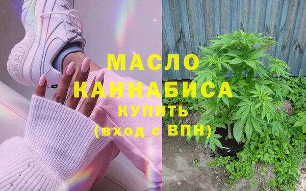 хмурый Няндома
