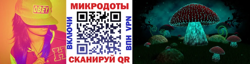 закладка  Кореновск  Галлюциногенные грибы мицелий 